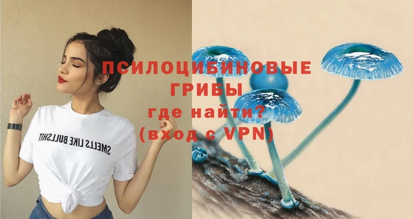 марихуана Горнозаводск