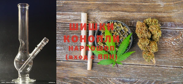 молекула духа Каменногорск