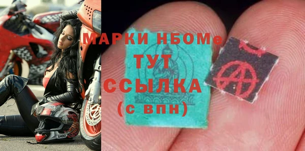 сатива Каменка
