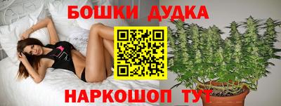 соль ск Пугачёв