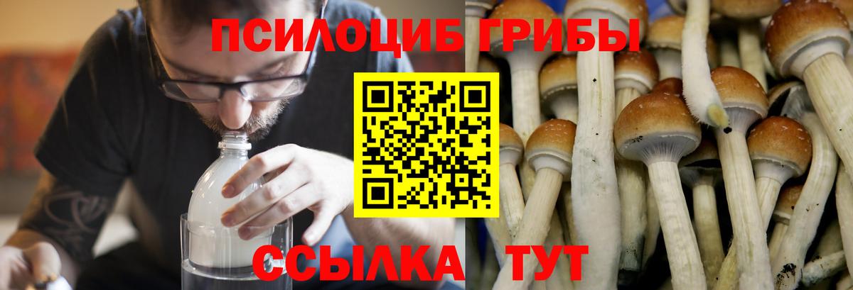 Глазов  Галлюциногенные грибы мухоморы  Вход с VPN 